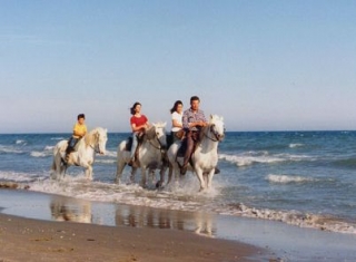  Paseos a caballo en la Camarga 